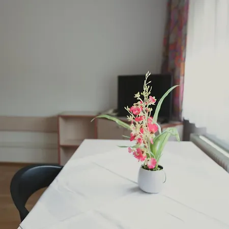 Sommerhotel Karwendel אינסברוק